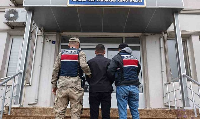 Dolandırıcılık suçundan aranan şahıs yakalandı