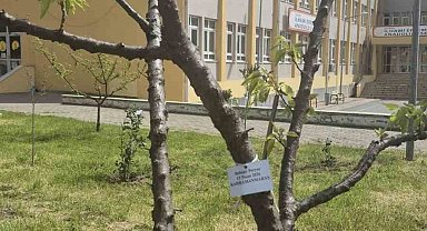 Edirne İlhami Ertem Anadolu Lisesi öğrencilerinden anlamlı etkinlik