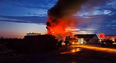 Edirne'de kereste fabrikasında yangın