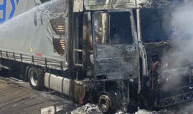 Edirne'de kereste yüklü tır yandı