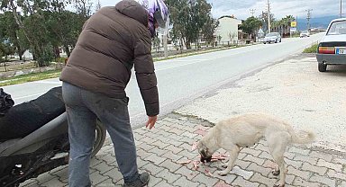 Edremitli genç 5 yıldır sokak köpeklerini besliyor