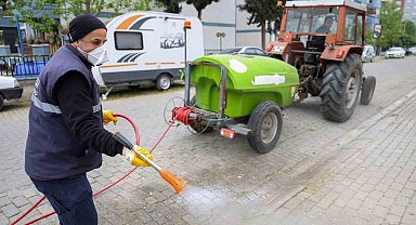 Efeler Belediyesi'nden yabani ot temizliği