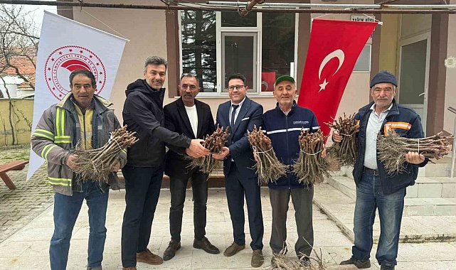 Emet'te 35 üreticiye 980 adet üzüm fidanı dağıtıldı