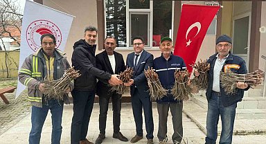 Emet'te 35 üreticiye 980 adet üzüm fidanı dağıtıldı