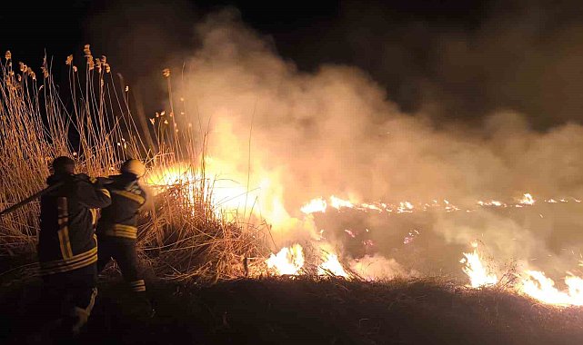Erzincan'da anız yangını korkuttu
