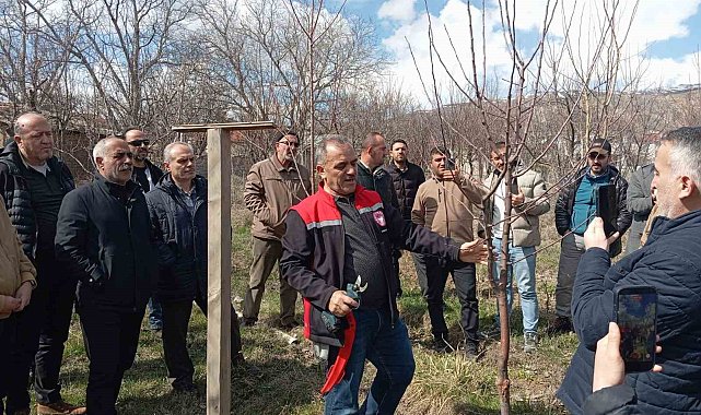 Erzincan'da çiftçilere budama eğitimi verildi