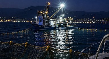 Gemlik Körfezi'nde sardalya avcılığı başladı