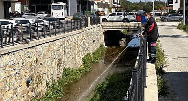 Haşereye karşı larvasit çözüm