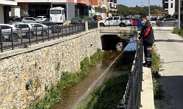 Haşereye karşı larvasit çözüm