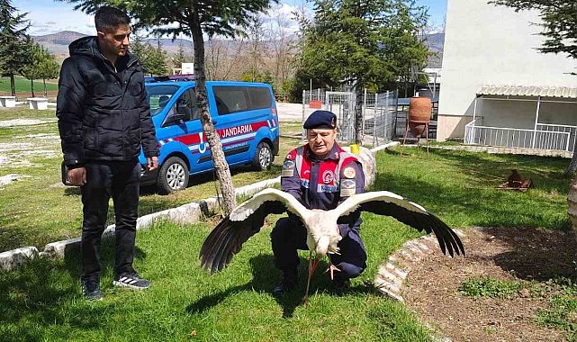 Hasta leylek koruma altına alındı