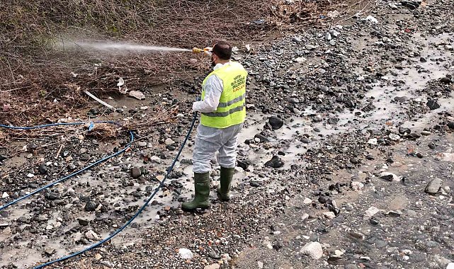 Hatay Büyükşehir Belediyesi haşereyle mücadele çalışmalarına devam ediyor
