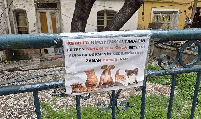 Hayvanseverlerin ilginç yazısı: "Kediler himayemiz altındadır"