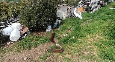 Hepsi zabıta ekiplerinin baskınında ortaya çıktı