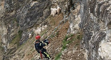 Her can Kocaeli İtfaiyesi'ne emanet