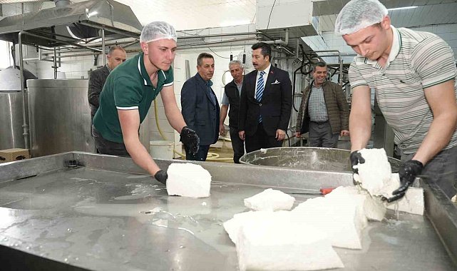 Her gün 3,5 ton sütten 12 çeşit peynir üretiyorlar