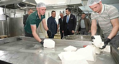 Her gün 3,5 ton sütten 12 çeşit peynir üretiyorlar