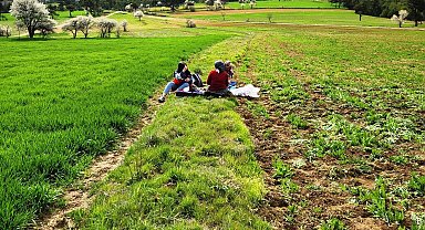 Hisarcık'ta tarımsal saha çalışmaları yapıldı