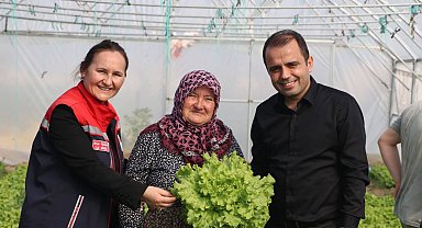 İpsala Esetçe'de 'Meryem Teyze' örneği... Yüzde 75 hibeli serada verimlilik artıyor