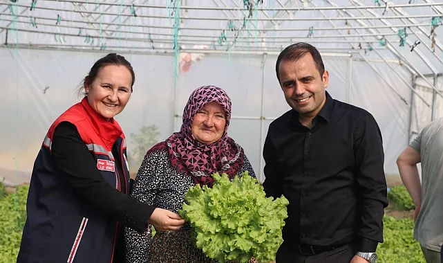İpsala Esetçe'de 'Meryem Teyze' örneği... Yüzde 75 hibeli serada verimlilik artıyor