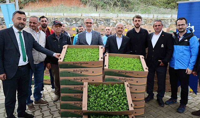 İşlenmeyen araziler üretime dönüyor: Çiftçilere yüzde 75 hibeli fide desteği