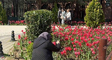 İstanbul'da lale zamanı başladı, Pendik Korusu'nda renk cümbüşü yaşandı