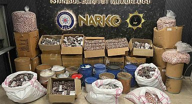 İstanbul'da uyuşturucu operasyonunda 2 gözaltı