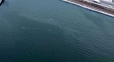 İzmir Körfezi'nde kirlilik alarmı: Aynı tehdit 11. kez görüldü