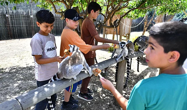 İzmir'de Doğal Yaşam Parkı öğrencilere ücretsiz olacak