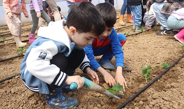İzmitli çocuklar ilk fidelerini çocuk serasında ekti
