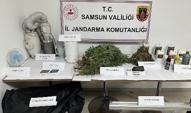 Jandarmadan evde kenevir operasyonu