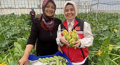 Kadın çiftçi hem üretiyor hem ihraç ediyor hem de pazarda satıyor