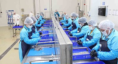 Kadın emeğiyle yükselen değer: Sinop lakerdası markalaşma yolunda