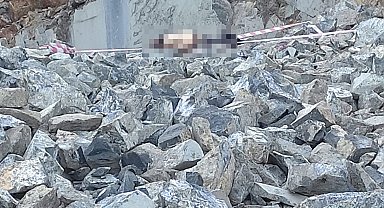 Kahramanmaraş'ta bir gün önce işe başlayan işçi feci kazada can verdi