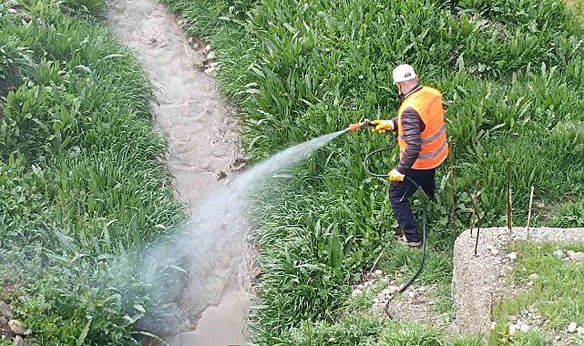 Kahta Belediyesi'nden haşerelere karşı yoğun mücadele