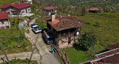 Kahverengi kokarcaya karşı kışlaklardan çıkış öncesi ilaçlama hız kazandı