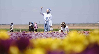 Karaman'da lale tarlasına ziyaretçi akını: 2 günde 30 bin kişi gezdi