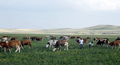 Kars Ani'de meralar yasaklandı mı? Açıklama geldi