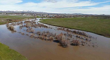 Kars Çayı taştı: Ağaçlar sular altında kaldı