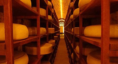 Kars Peynir Müzesi turistlerin gözdesi oldu