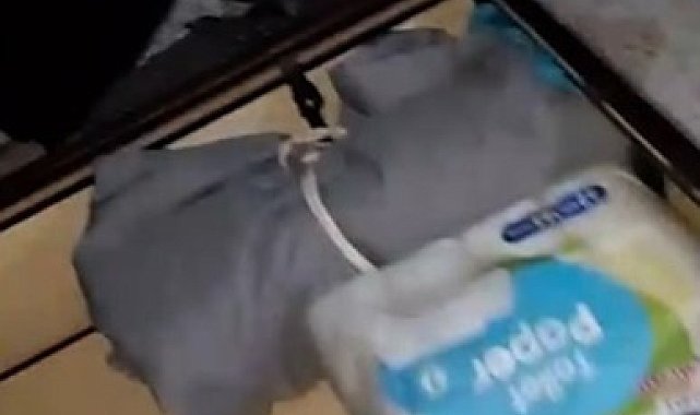 Kars'ta 17 yıl hapis cezalı firari suç makinesi, baza altında yakalandı