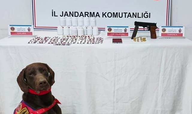 Kastamonu'da uyuşturucu operasyonu: 1 tutuklama