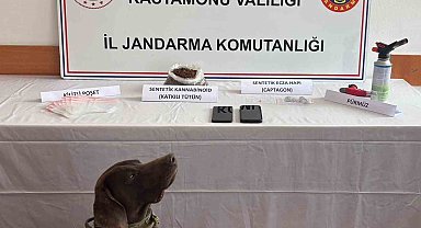 Kastamonu'da uyuşturucu operasyonu: 3 tutuklama