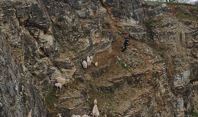 Kayalıklardaki sürüye cansiparane kurtarma
