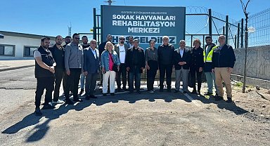 Kayseri Büyükşehir'den can dostlar için örnek hizmet