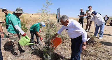 Kayseri Büyükşehir'den kente 'yeşil' atılım