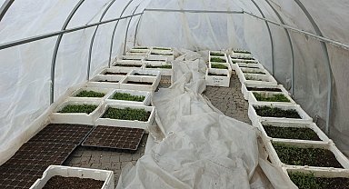 Kayseri Büyükşehir'in Doğal Ürünler Pazarı'nda geri sayım