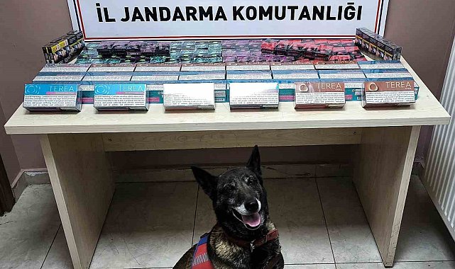 Kayseri'de kaçak sigara operasyonu