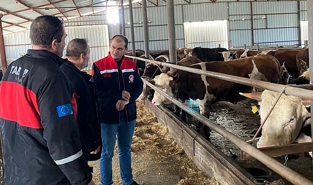Kırklareli'nde besi çiftliği kontrolleri devam ediyor