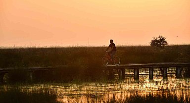 Kızılırmak Deltası Kuş Cenneti'nde bahar coşkusu