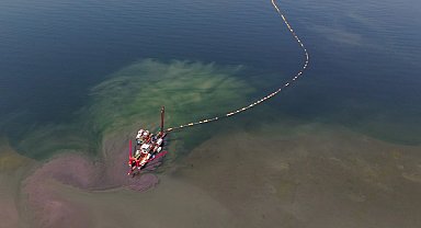 Kocaeli'nin çevre projesi deniz canlılarını canlandırdı